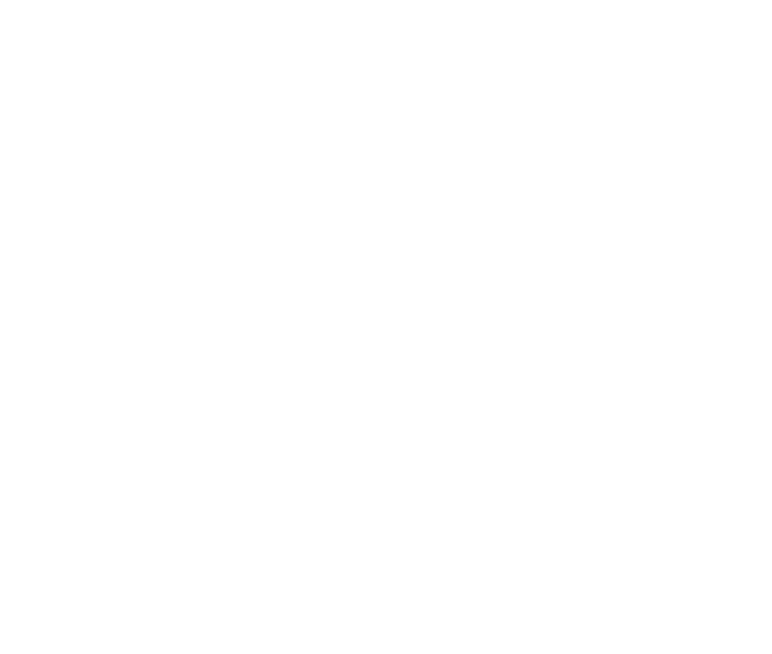 Ballerina Birthdays logo