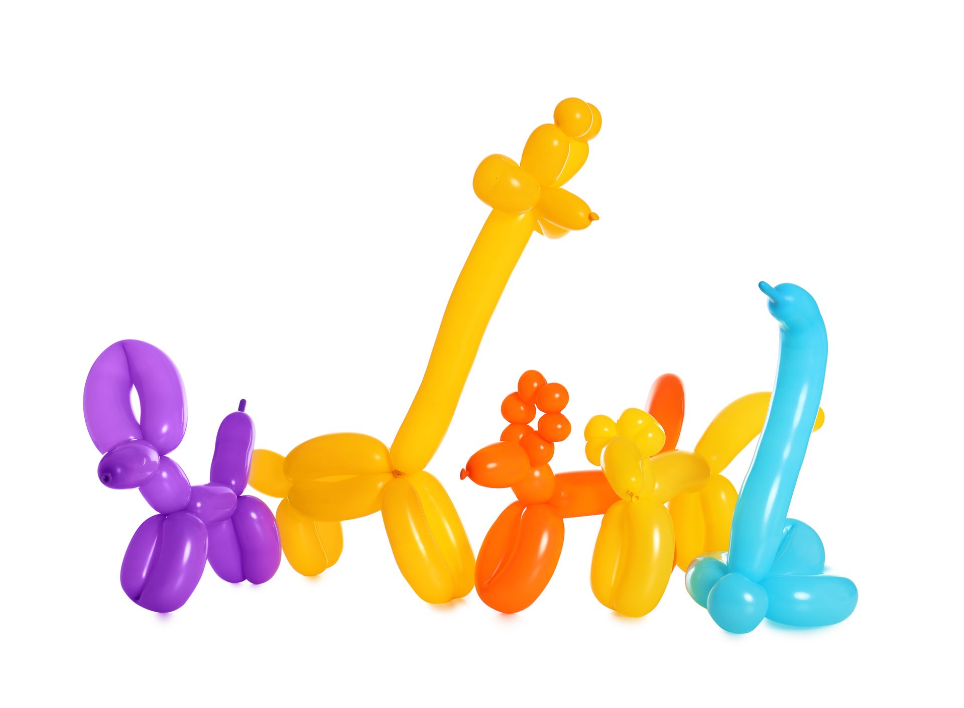 Balloon Art in Cincinnati, OH