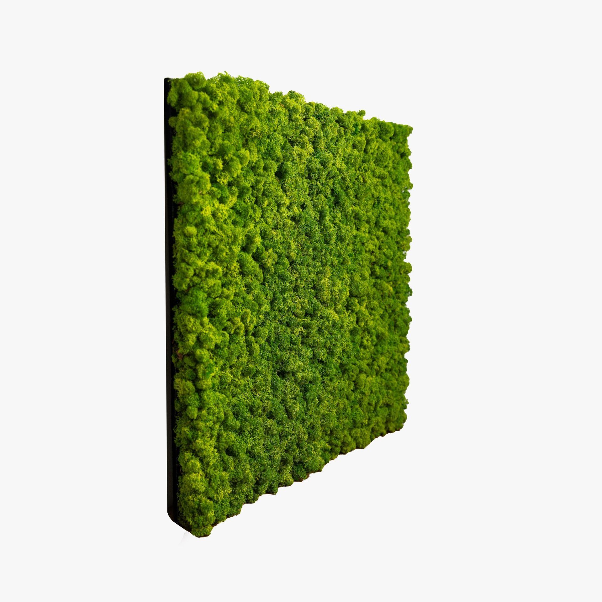Pure Mos™ | Luxe Onderhoudsvrije Moswanden 300 x 52