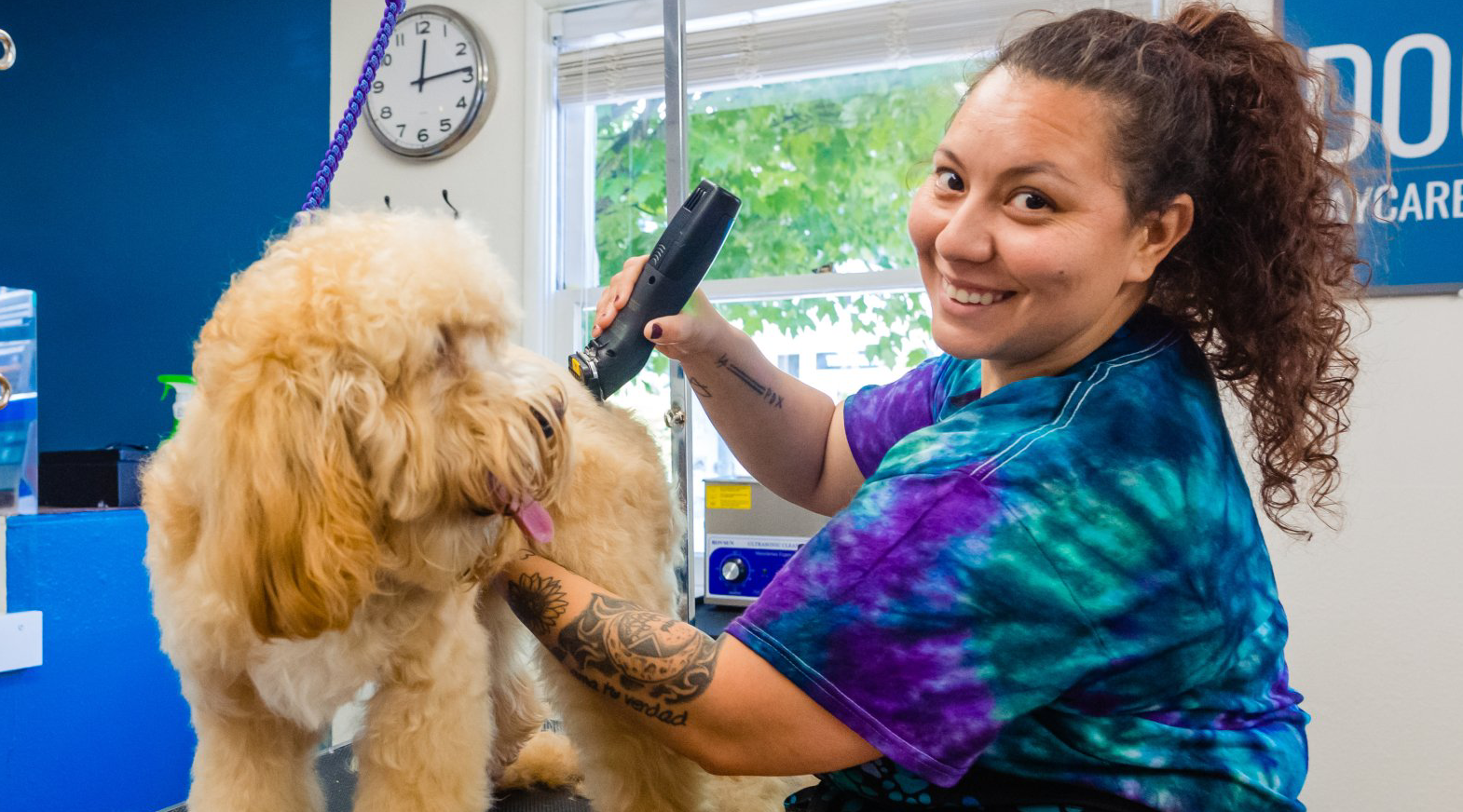 Dogs Dig It Portland Dog Grooming
