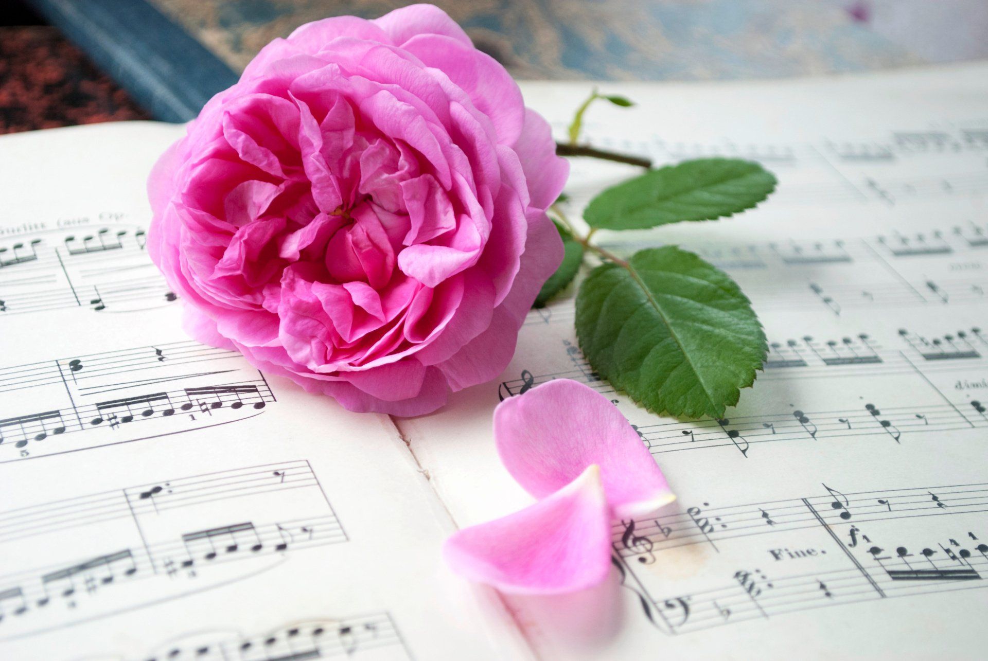 Play a musical tribute
