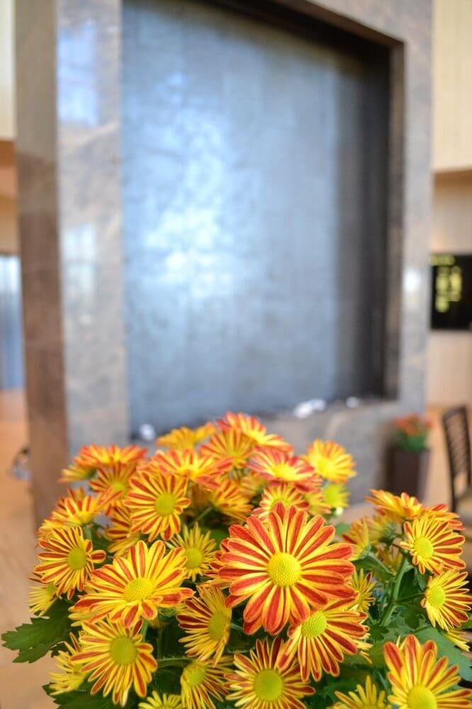 A bunch of yellow and orange flowers in front of a waterfall.