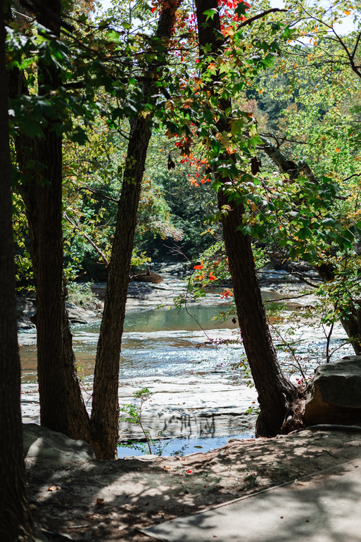 A river is surrounded by trees and rocks in the woods