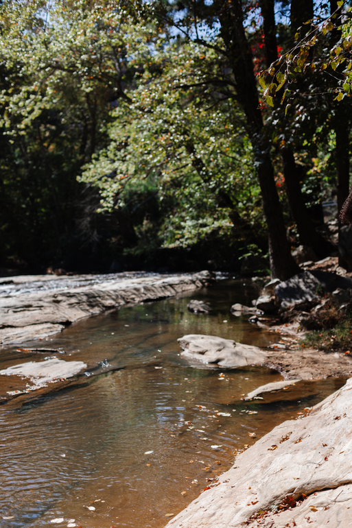 A river flowing through a forest with rocks and trees
