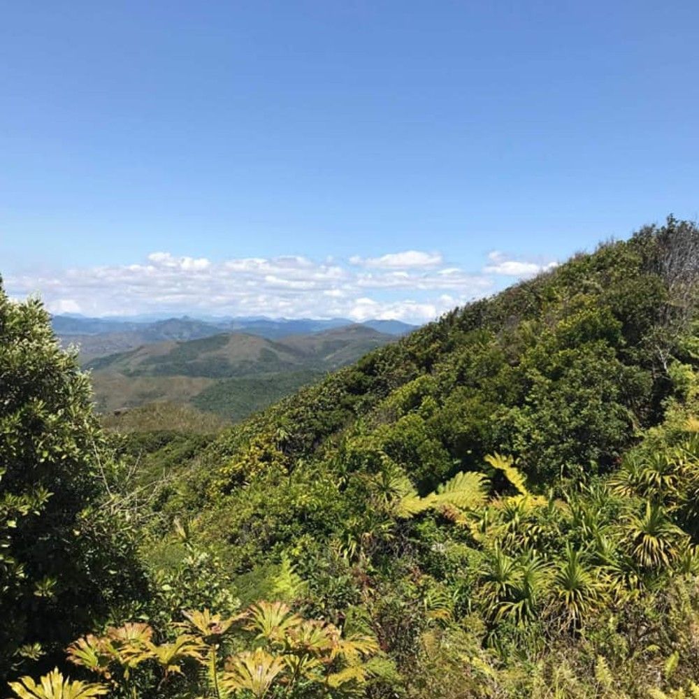 Vue de la montagne sur Touho