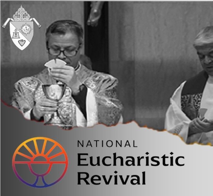 https://www.sbdiocese.org/EucharisticRevival/Home.html