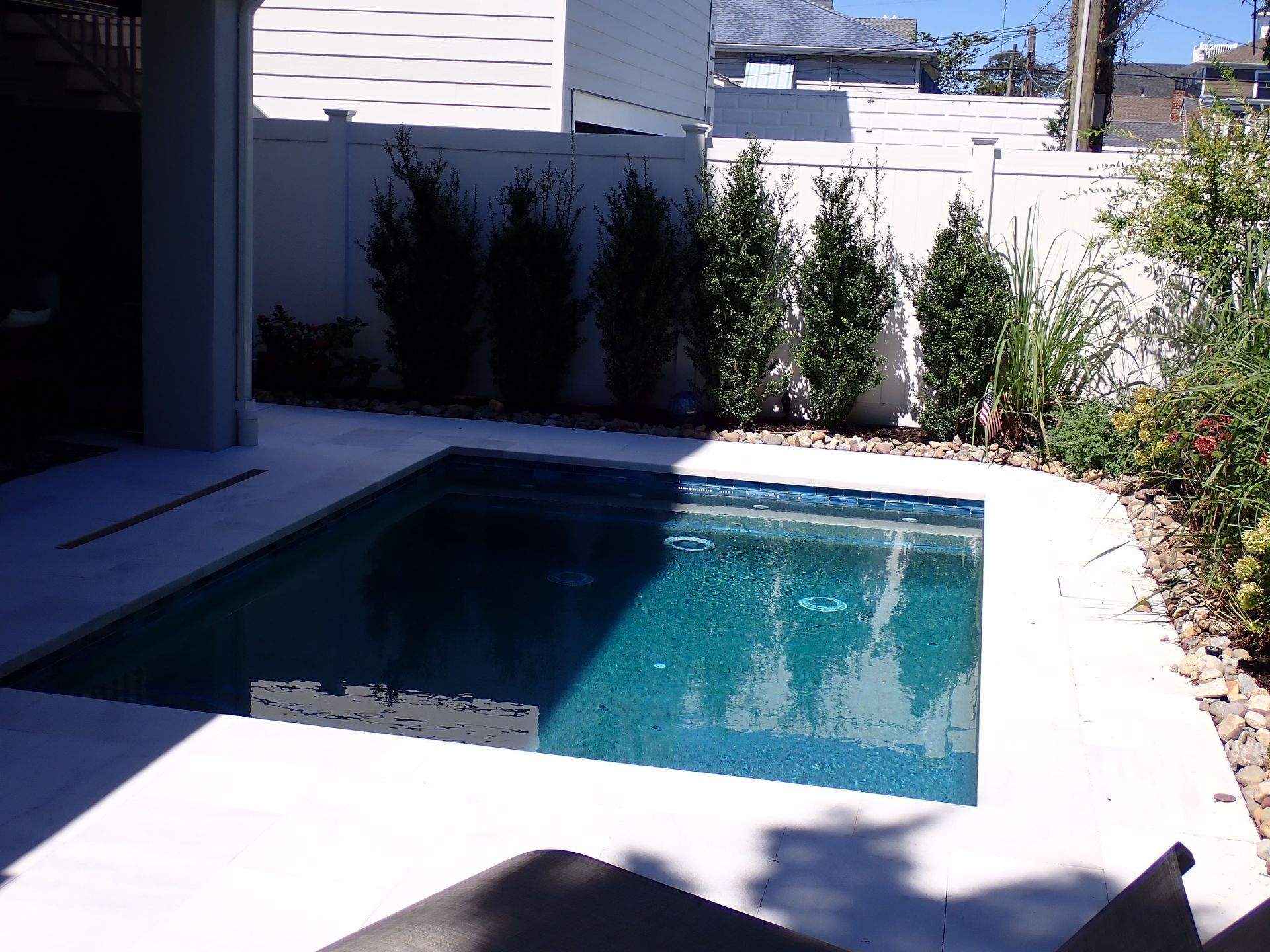 Small backyard pool beside a patio, with white walls and tall hedges in bright sunlight.
