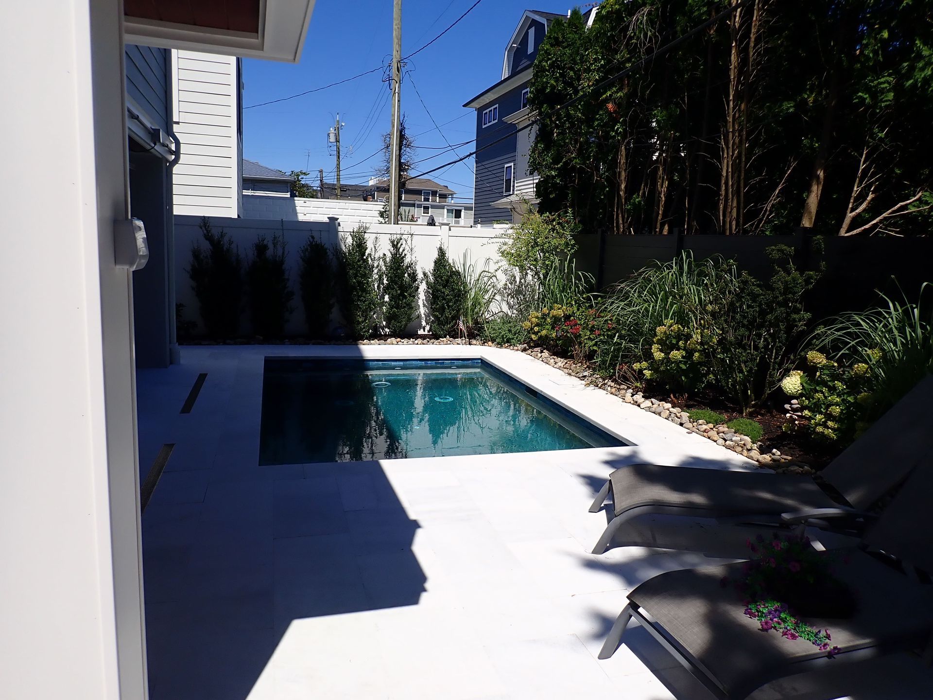 Backyard pool with white patio, lounge chairs, and greenery under bright sunlight