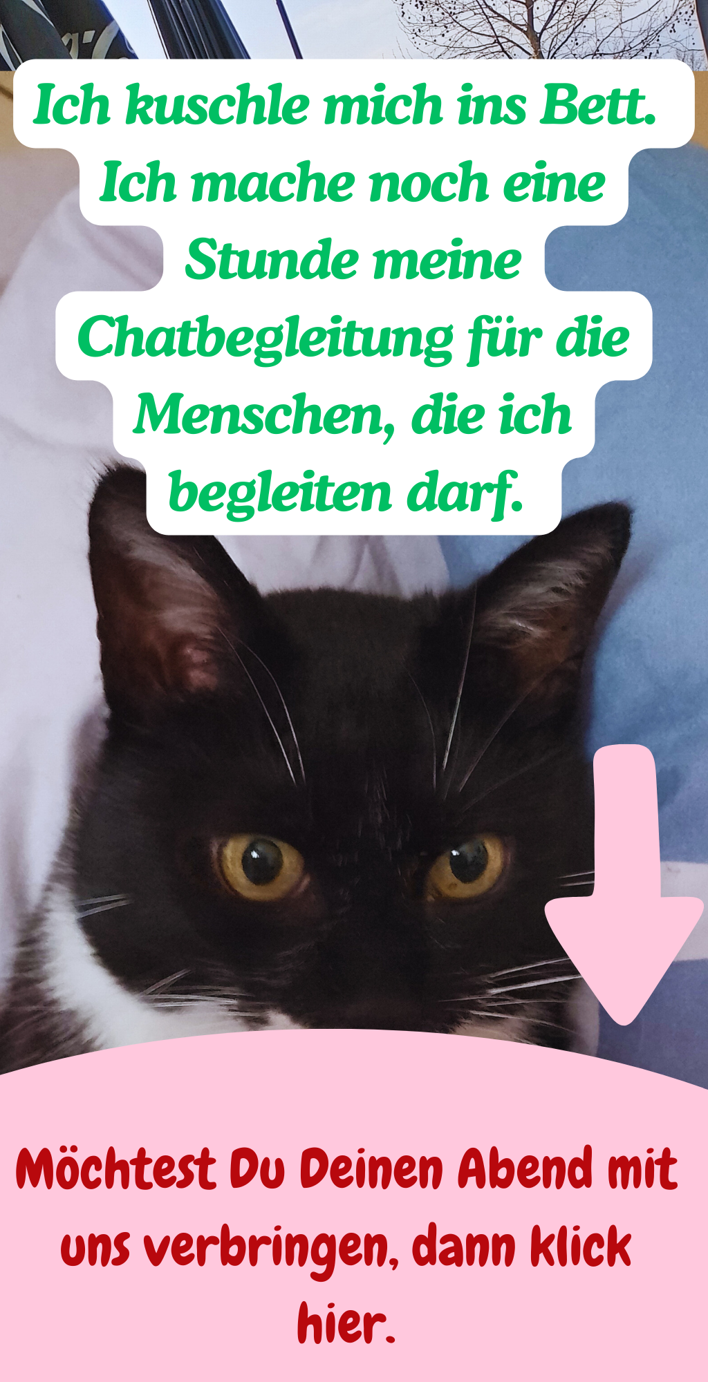 Ich kuschle mich ins Bett. 
Ich mache noch eine Stunde meine Chatbegleitung für die Menschen, die ich begleiten darf. 
