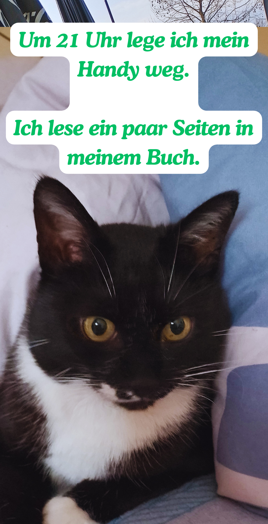 Um 21 Uhr lege ich mein Handy weg.
Ich lese ein paar Seiten in meinem Buch.
