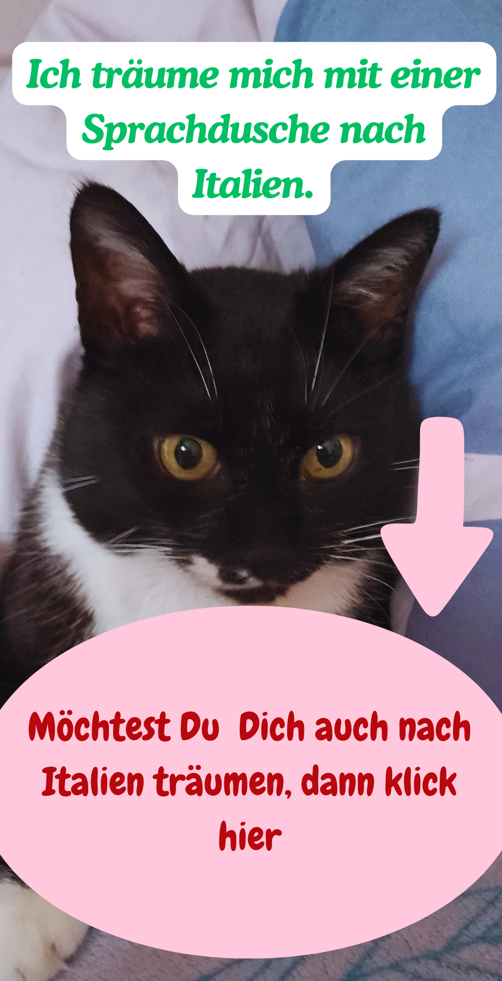 Ich träume mich mit einer Sprachdusche nach Italien.