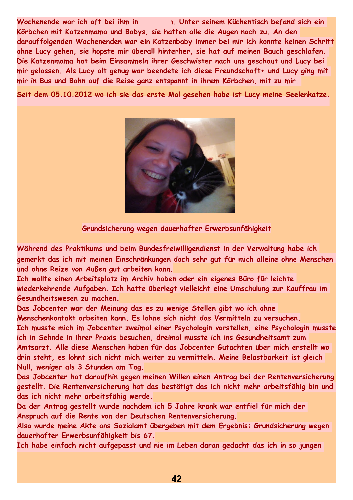 Grundsicherung wegen dauerhafter Erwerbsunfähigkeit.