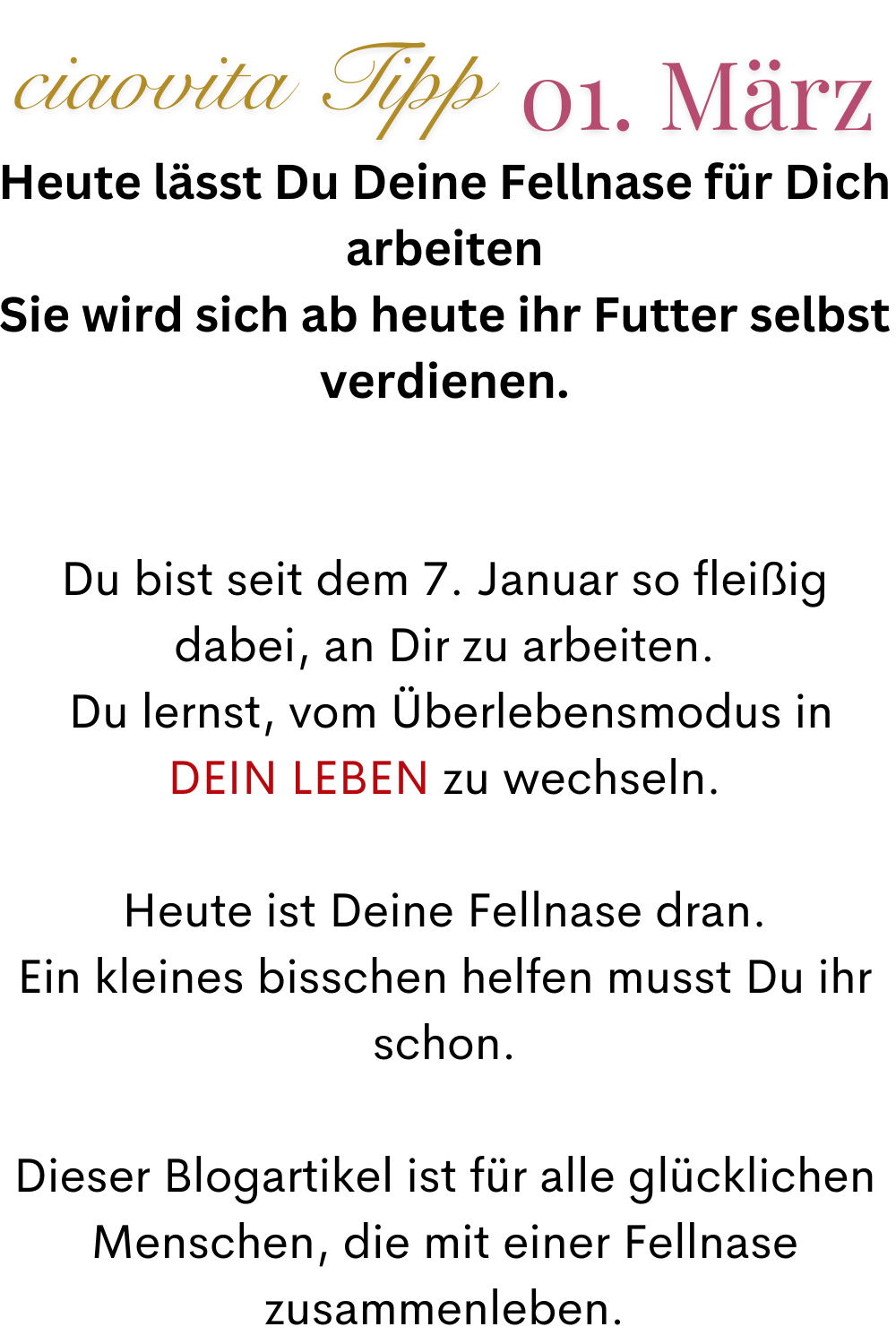 ciaovita Tipp  01. März
Heute lässt Du Deine Fellnase für Dich arbeiten
Sie wird sich ab heute ihr Futter selbst verdienen.
Du bist seit dem 7. Januar so fleißig dabei, an Dir zu arbeiten.
 Du lernst, vom Überlebensmodus in DEIN LEBEN zu wechseln.
Heute ist Deine Fellnase dran.
Ein kleines bisschen helfen musst Du ihr schon.
Dieser Blogartikel ist für alle glücklichen Menschen, die mit einer Fellnase zusammenleben.