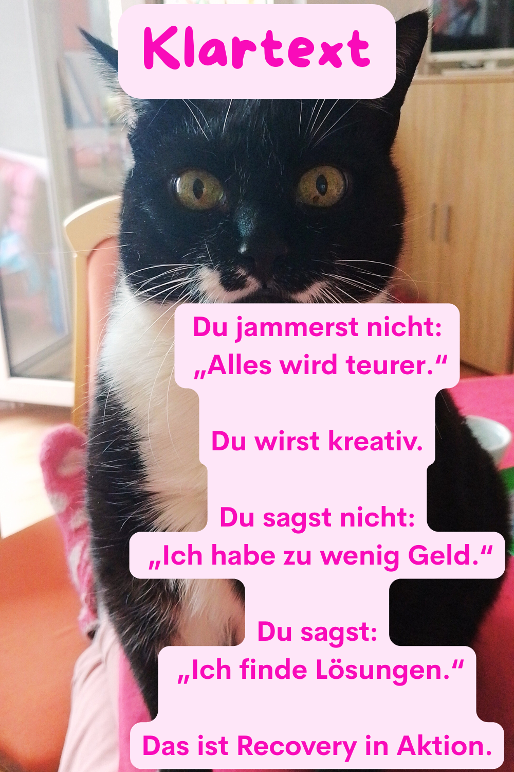 Klartext:
Du jammerst nicht:
 „Alles wird teurer.“
Du wirst kreativ.
Du sagst nicht:
 „Ich habe zu wenig Geld.“
Du sagst:
 „Ich finde Lösungen.“
Das ist Recovery in Aktion.
Deine ciaovita Katze Lucy.