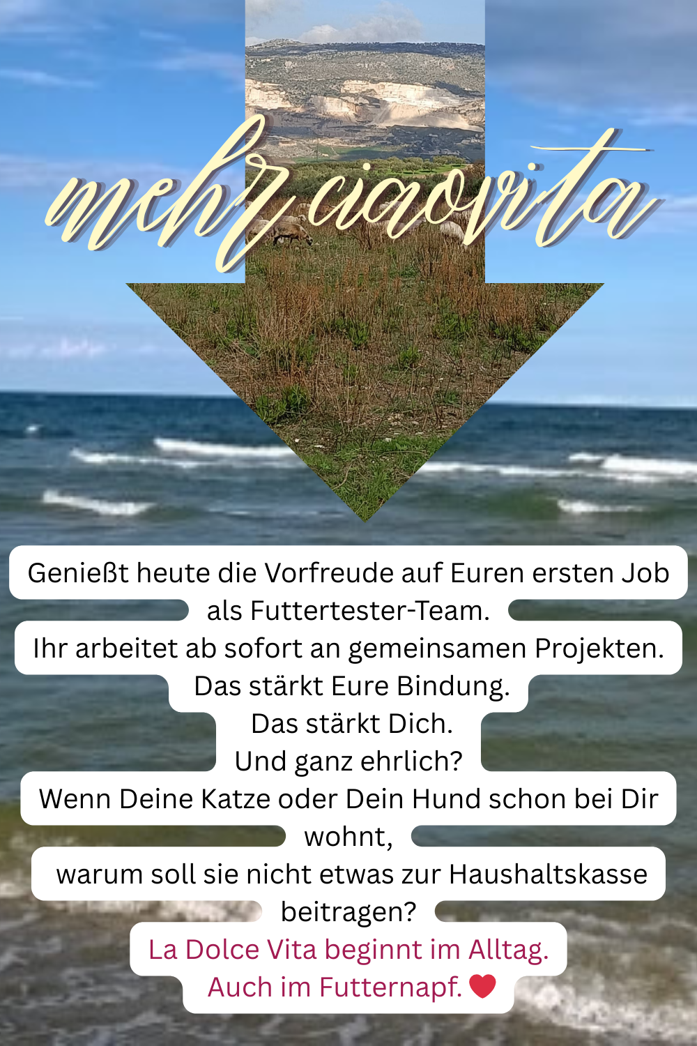 mehr ciaovita
Genießt heute die Vorfreude auf Euren ersten Job als Futtertester-Team.
Ihr arbeitet ab sofort an gemeinsamen Projekten.
Das stärkt Eure Bindung.
Das stärkt Dich.
Und ganz ehrlich?
Wenn Deine Katze oder Dein Hund schon bei Dir wohnt,
warum soll sie nicht etwas zur Haushaltskasse beitragen?
La Dolce Vita beginnt im Alltag.
Auch im Futternapf. ❤️