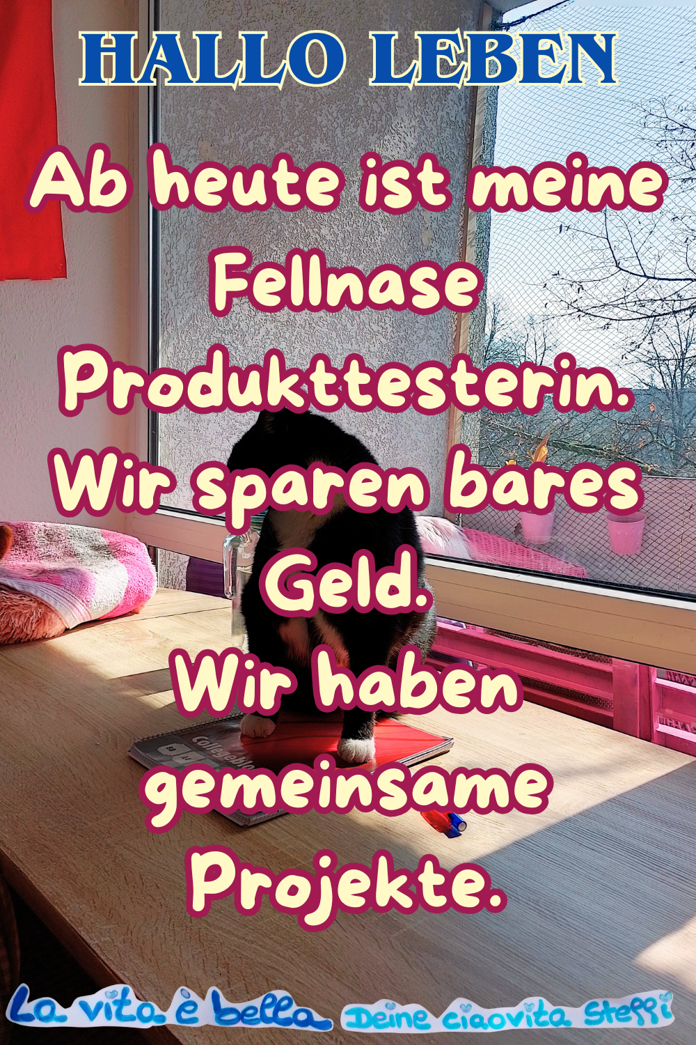 Hallo Leben
Ab heute ist meine Fellnase Produkttesterin.
Wir sparen bares Geld.
Wir haben gemeinsame Projekte.
La vita è bella.
Deine ciaovita Steffi ❤️
