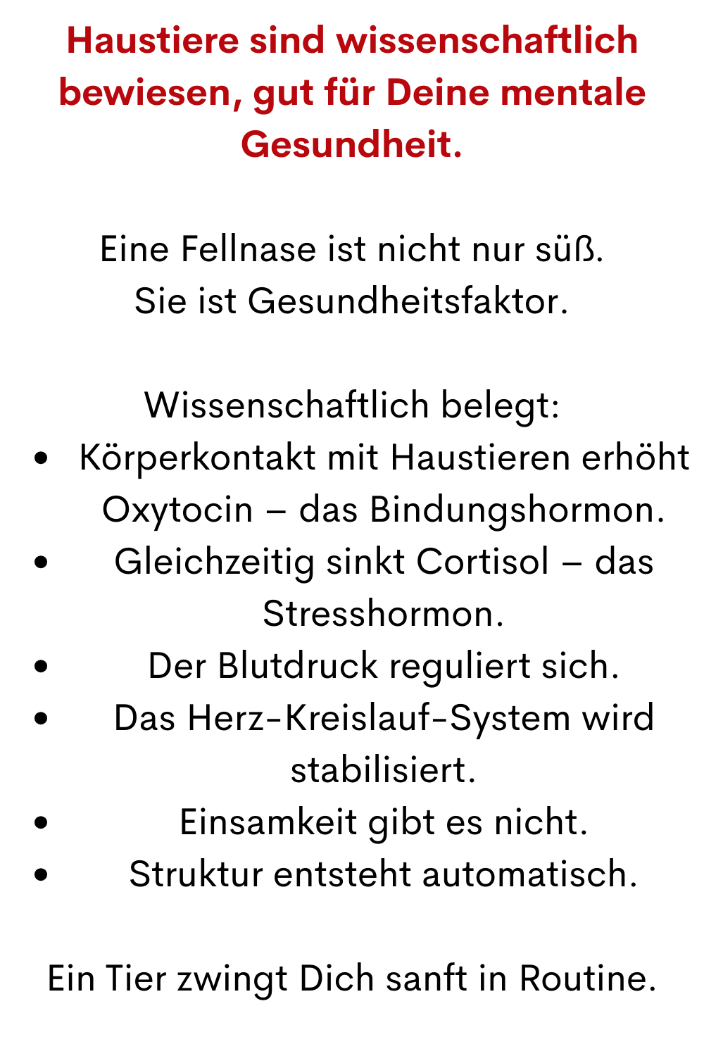 Haustiere sind wissenschaftlich  bewiesen, gut für Deine mentale Gesundheit.
Eine Fellnase ist nicht nur süß.
Sie ist Gesundheitsfaktor.
Wissenschaftlich belegt:
Körperkontakt mit Haustieren erhöht Oxytocin – das Bindungshormon.
Gleichzeitig sinkt Cortisol – das Stresshormon.
Der Blutdruck reguliert sich.
Das Herz-Kreislauf-System wird stabilisiert.
Einsamkeit gibt es nicht.
Struktur entsteht automatisch.
Ein Tier zwingt Dich sanft in Routine.
