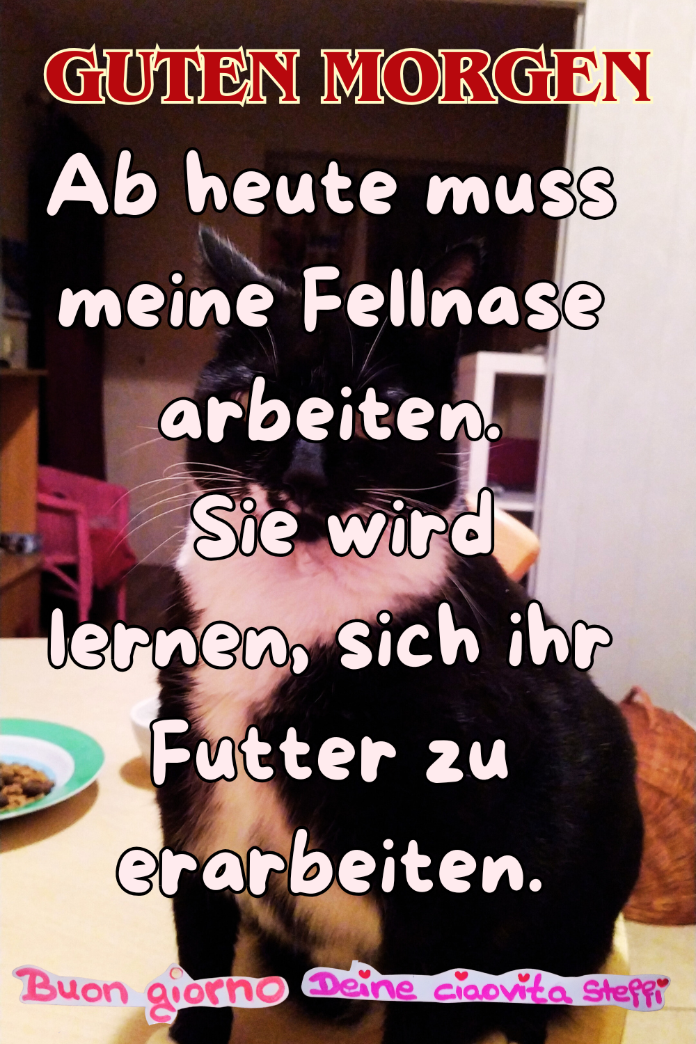 Guten Morgen
Ab heute muss meine Fellnase arbeiten.
Sie wird lernen, sich ihr Futter zu erarbeiten.
Buongiorno,
Deine ciaovita Steffi ❤️