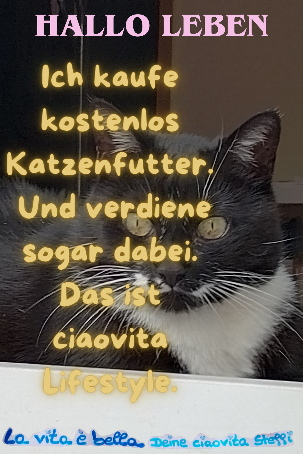 Hallo Leben
Ich kaufe kostenlos Katzenfutter.
Und verdiene sogar dabei.
Das ist ciaovita Lifestyle.
La vita è bella.
Deine ciaovita Steffi ❤️