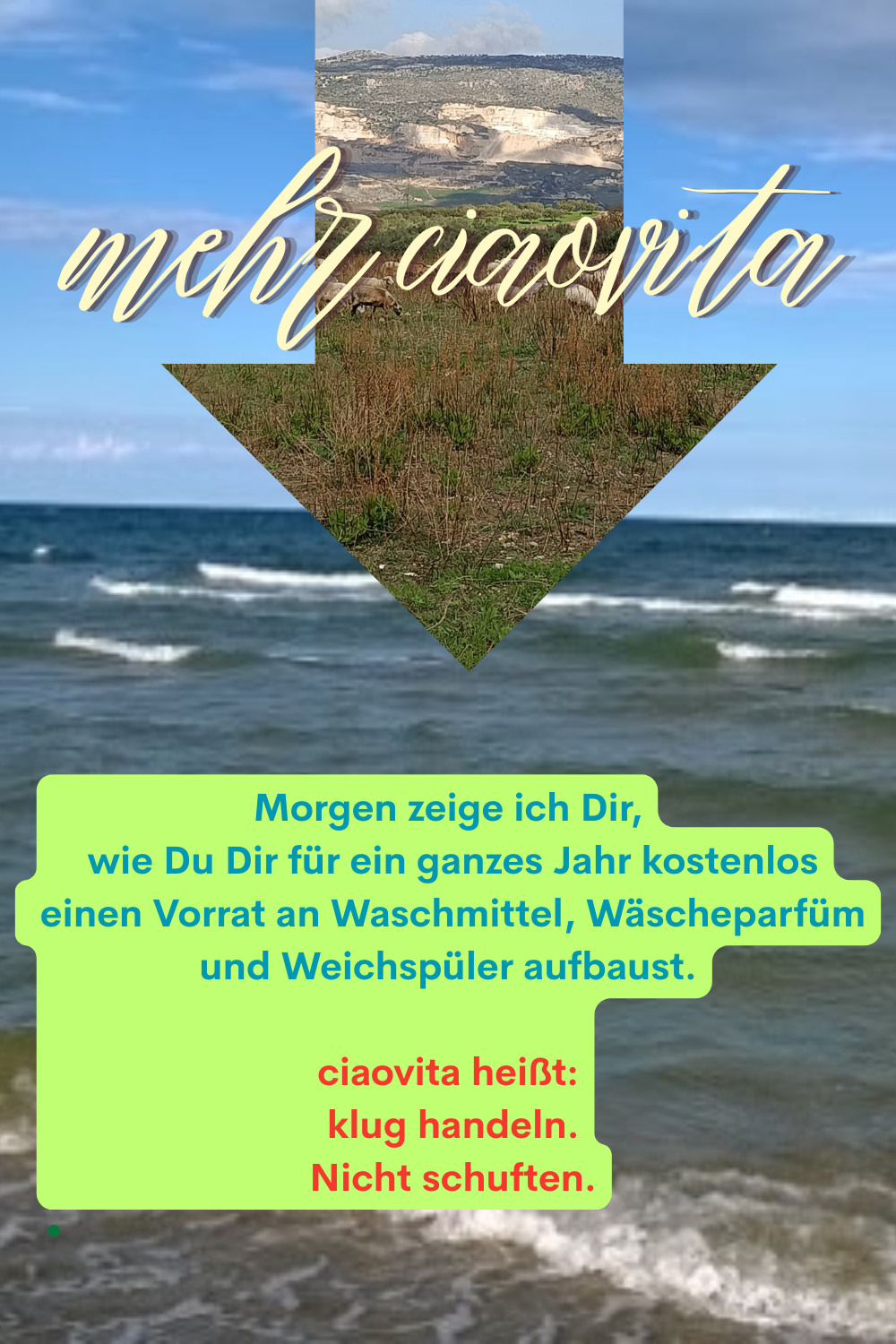 mehr ciaovita
Morgen zeige ich Dir,
wie Du Dir für ein ganzes Jahr kostenlos
einen Vorrat an Waschmittel, Wäscheparfüm und Weichspüler aufbaust.
ciaovita heißt:
klug handeln.
Nicht schuften.