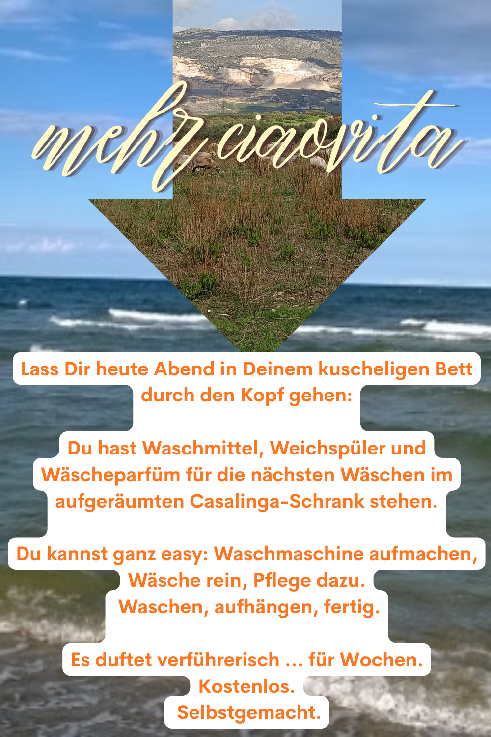 mehr ciaovita
Lass Dir heute Abend in Deinem kuscheligen Bett durch den Kopf gehen:
Du hast Waschmittel, Weichspüler und Wäscheparfüm für die nächsten Wäschen im aufgeräumten Casalinga-Schrank stehen.
Du kannst ganz easy: Waschmaschine aufmachen, Wäsche rein, Pflege dazu.
Waschen, aufhängen, fertig.
Es duftet verführerisch … für Wochen.
Kostenlos.
Selbstgemacht.