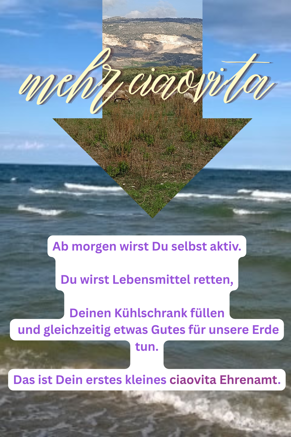 mehr ciaovita
Ab morgen wirst Du selbst aktiv.
Du wirst Lebensmittel retten,
Deinen Kühlschrank füllen
und gleichzeitig etwas Gutes für unsere Erde tun.
Das ist Dein erstes kleines ciaovita Ehrenamt.