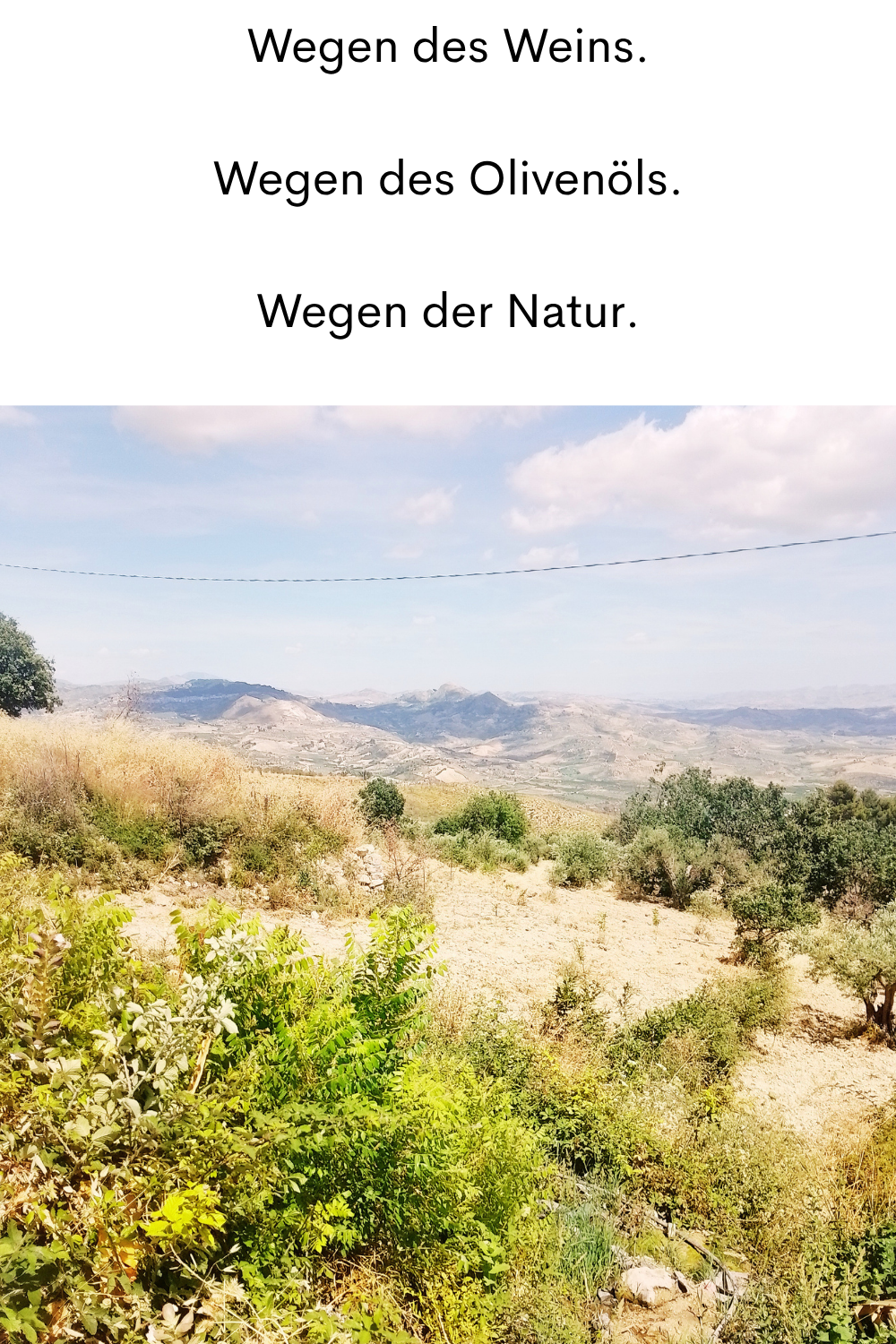 Wegen des Weins.
Wegen des Olivenöls.
Wegen der Natur.
Deine ciaovita Steffi in Caltabellotta.