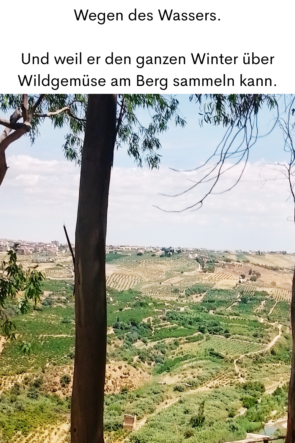 Wegen des Wassers.
Und weil er den ganzen Winter über Wildgemüse am Berg sammeln kann.
Deine ciaovita Steffi in Caltabellotta.