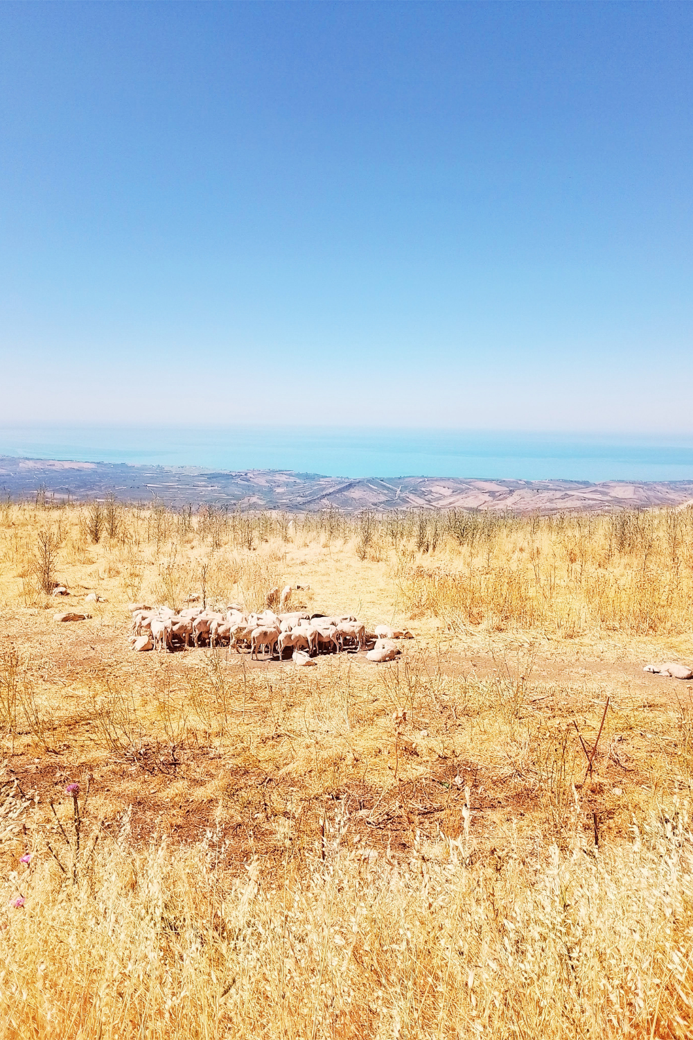 Deine ciaovita Steffi in Caltabellotta.