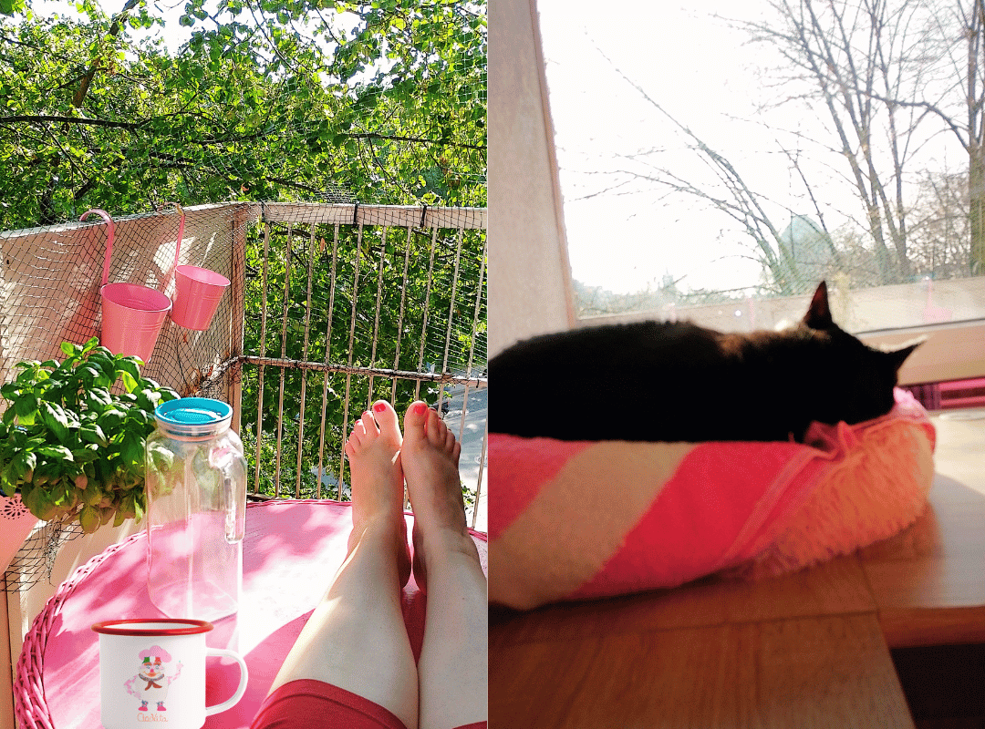 Hier siehst Du mich auf meinem Balkon in meiner Traumwohnung in meinem Bella Hannover.Im Sommer schauen wir ins Grüne. Du siehst meine Lucy in ihrem Kuschelnest auf unserem Schreibtisch. Das ist unser Blick nach draußen während wir für Dich schreiben. Und wie Du siehst sobald der Wind die Blätterpracht verweht hat schauen wir bis zur Marktkirche.
