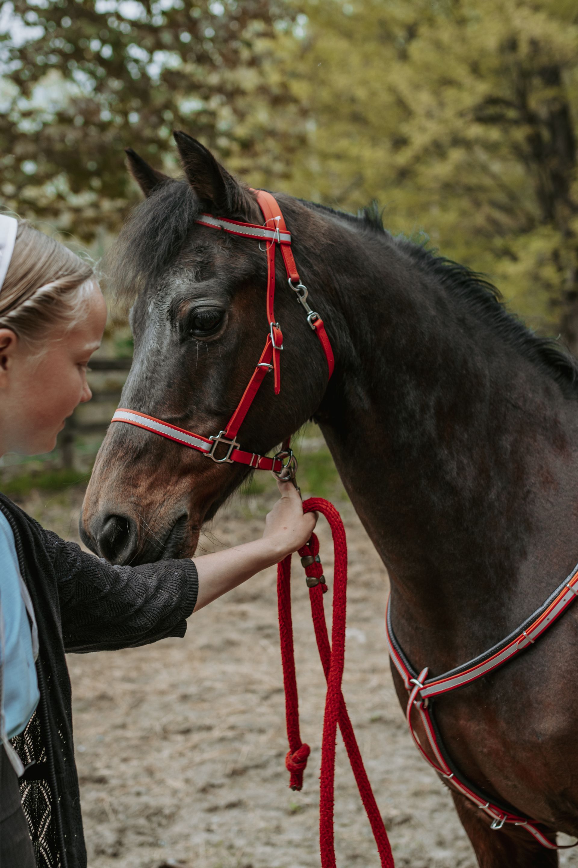 A young girl is petting a brown horse with a red bridle.