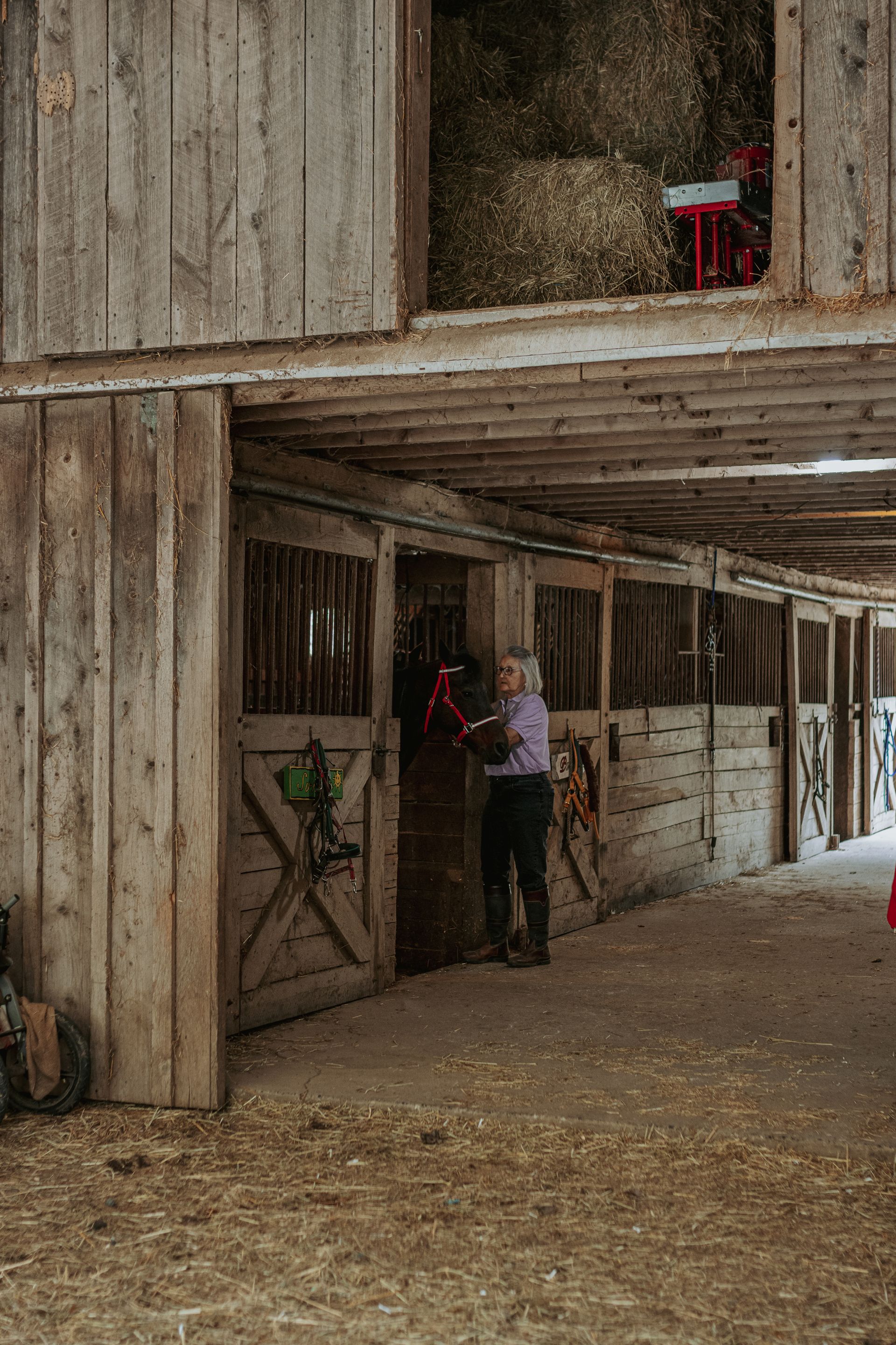 the best side pull bridle