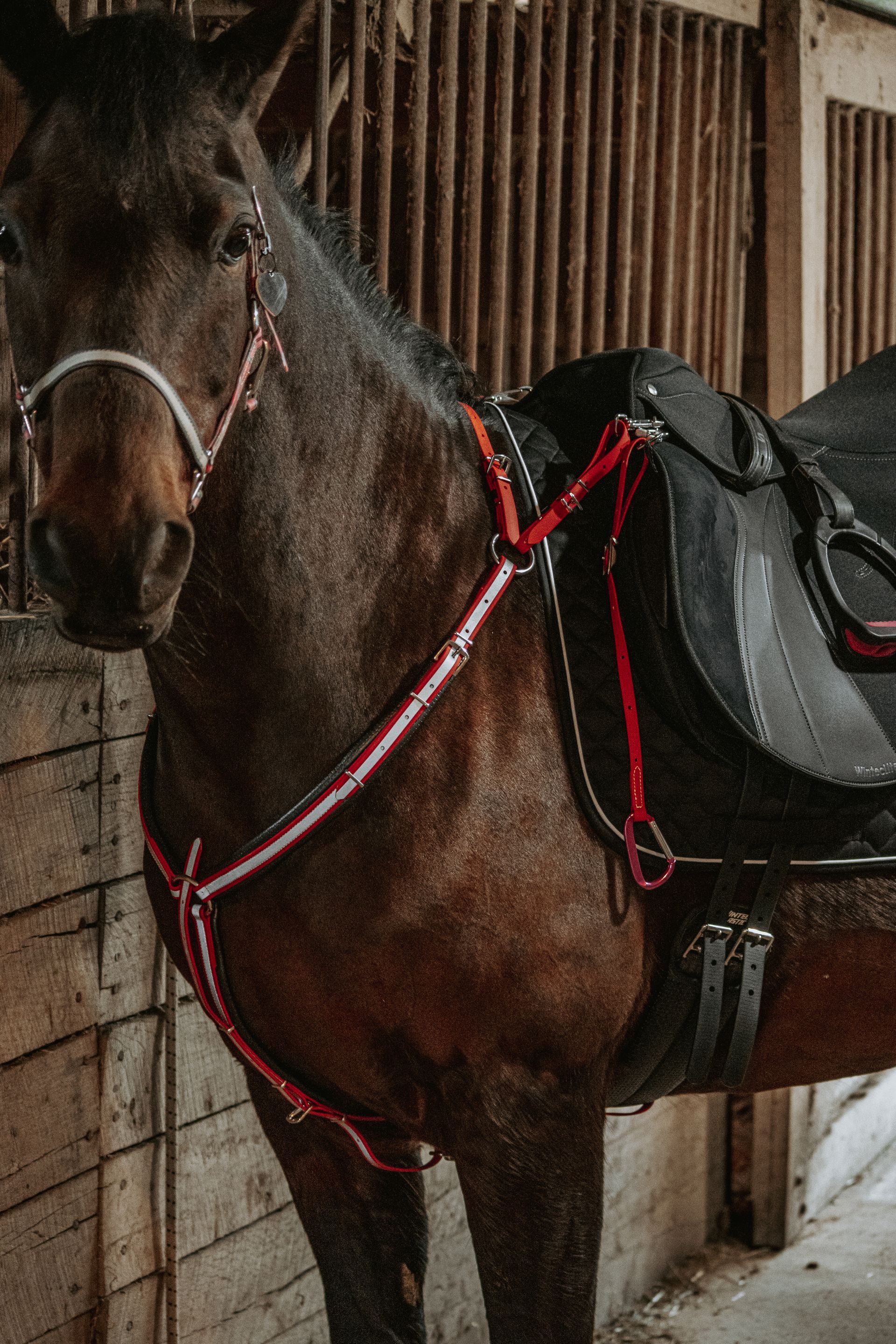 horse tack pennsylvania