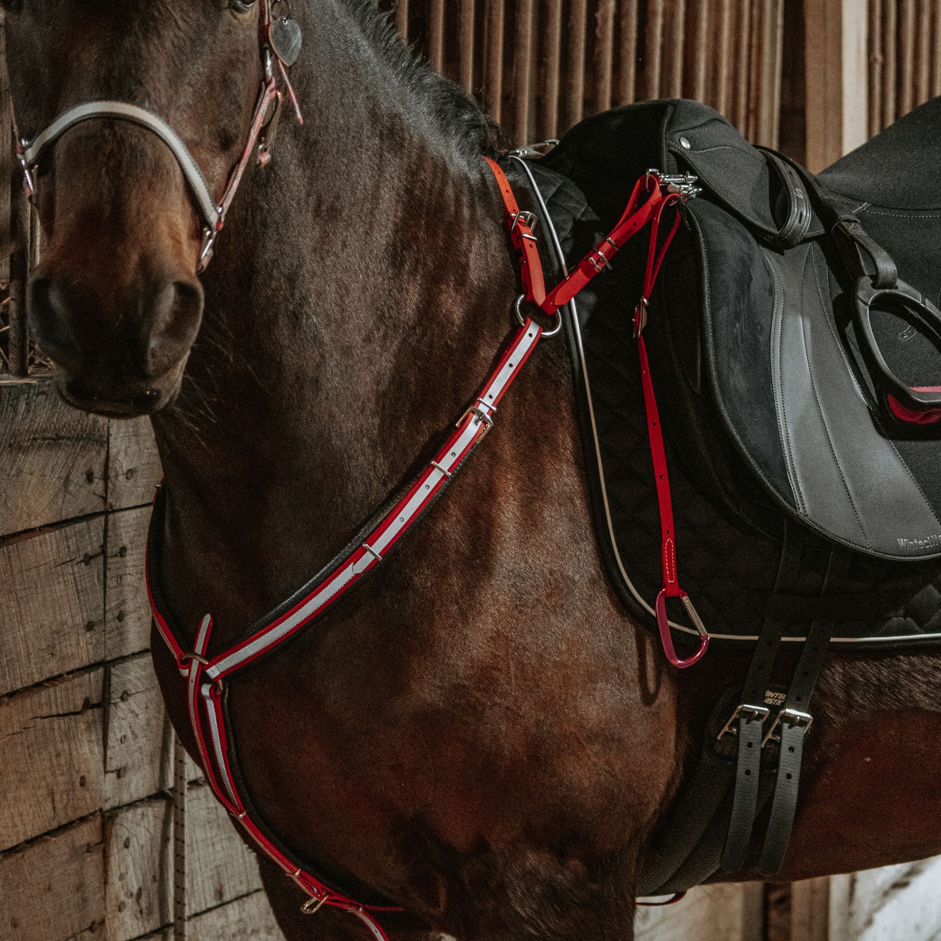 A brown horse wearing a black saddle and bridle