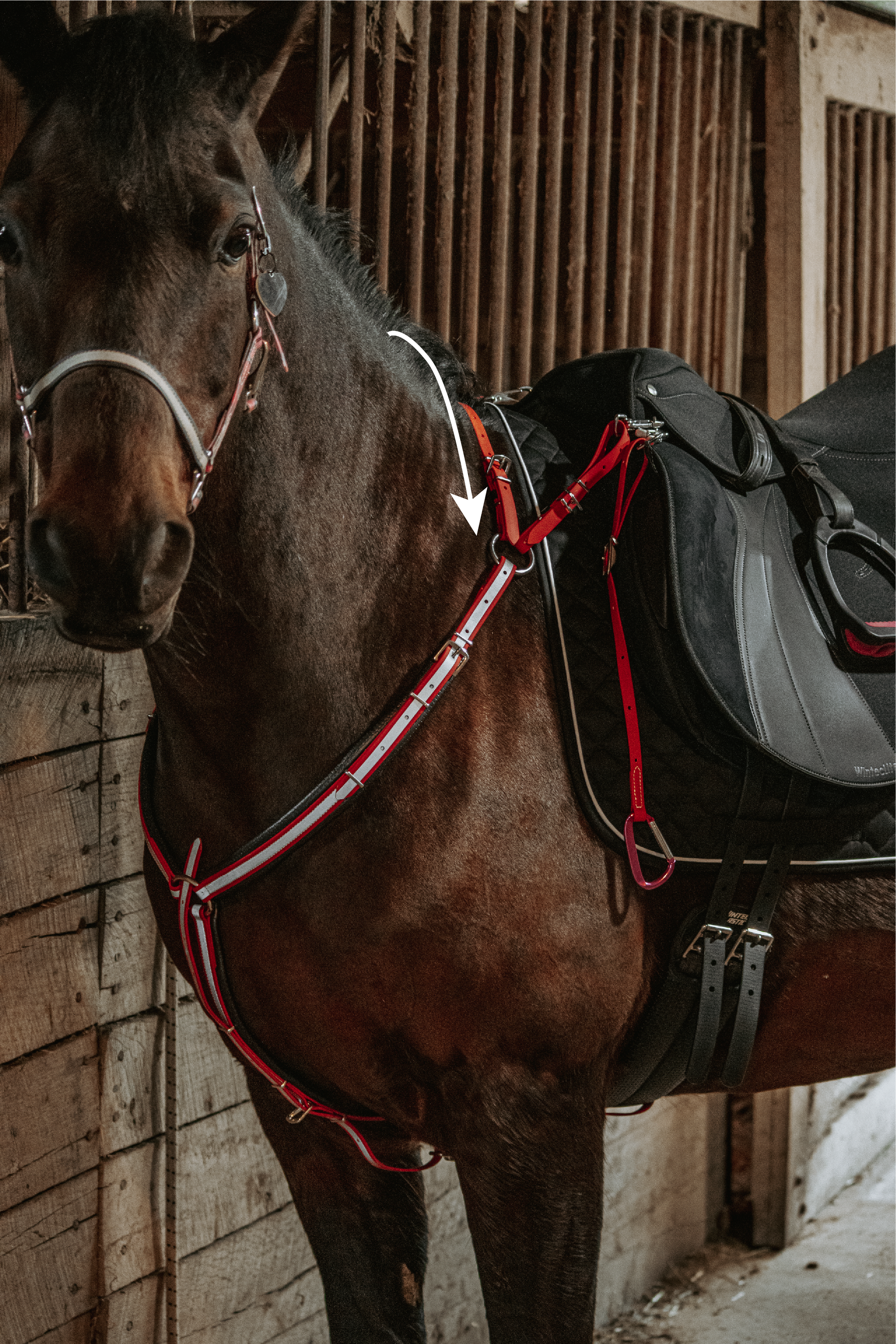 A brown horse with a black saddle is standing in a stable.