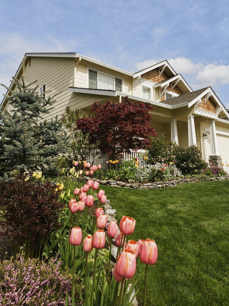 House with a flower garden in front; tulips and lawn visible.