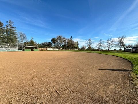 Empty baseball field, brown dirt infield, green grass outfield, blue sky, trees in background.