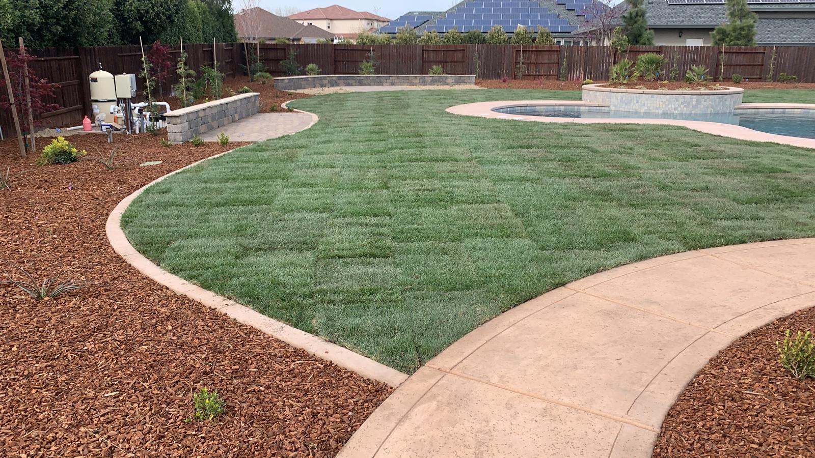 Backyard with newly laid sod lawn, curved concrete path, and swimming pool.