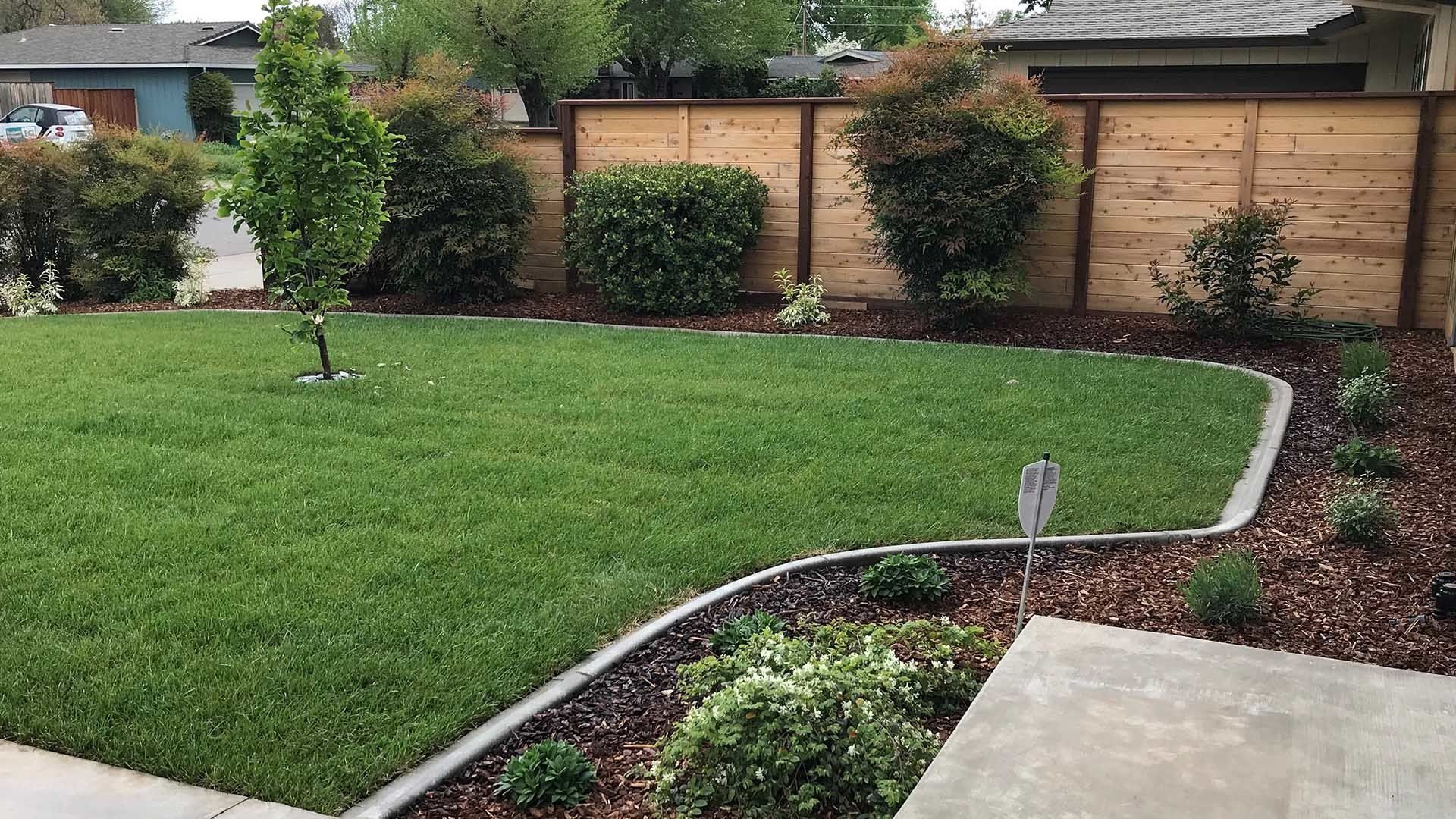 Lush green lawn with a curved border, shrubs, and a wooden fence, in front of a house.