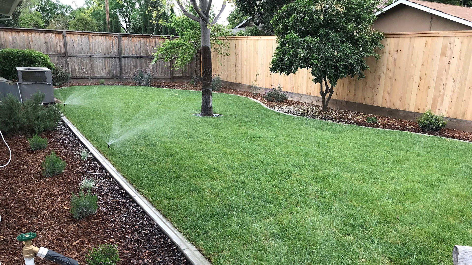 Lawn sprinkler watering a green backyard lawn bordered by wood chips and a wooden fence.