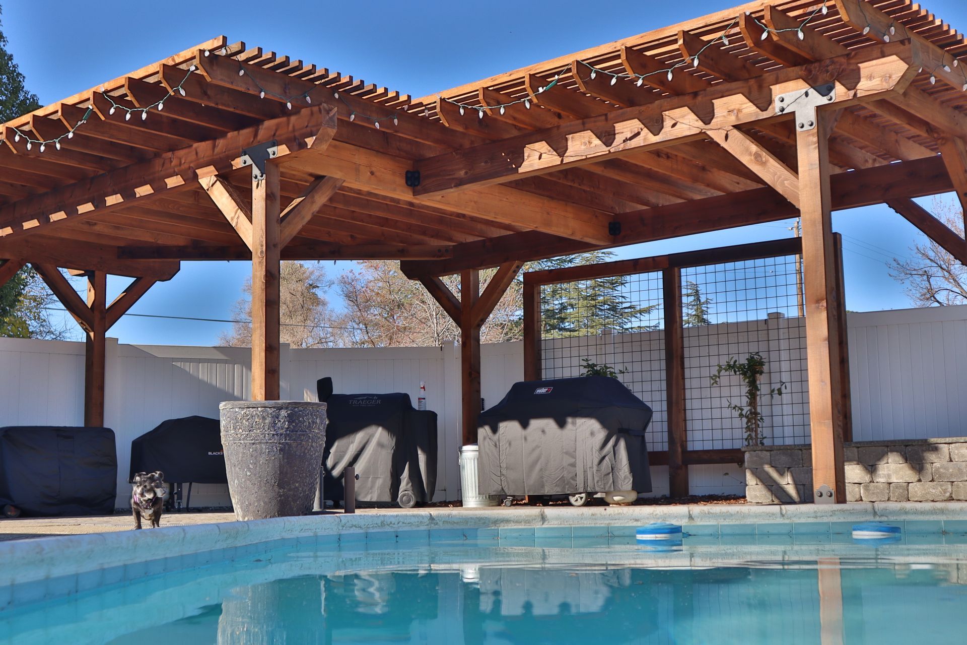 Wooden pergola over a pool, with grills and a plant. A small dog walks by the water.