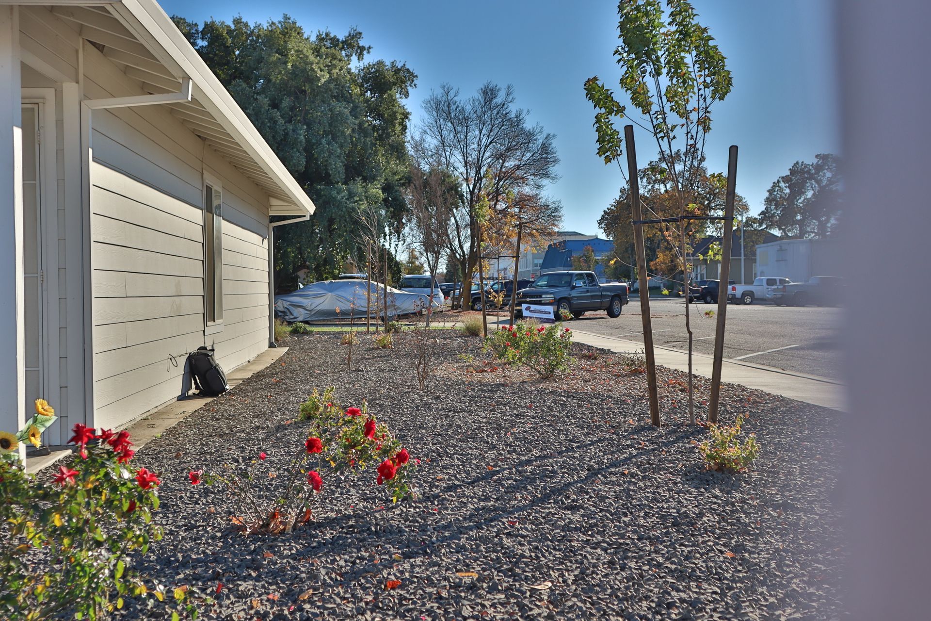 A house with a gravel yard and young trees on a sunny day. A road with cars is in the background.