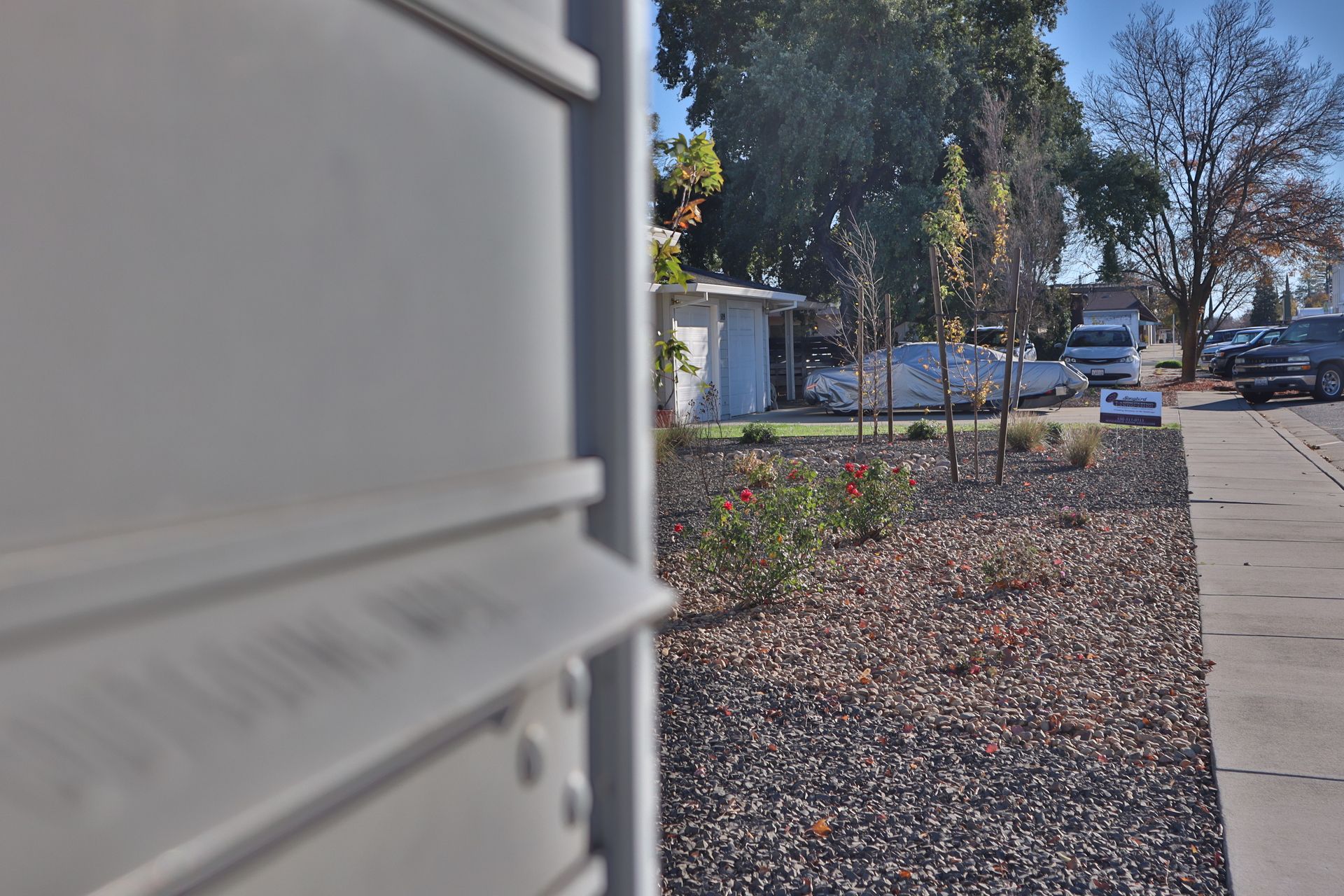 View from behind a mailbox towards a street and houses, with cars, trees, and landscaping.