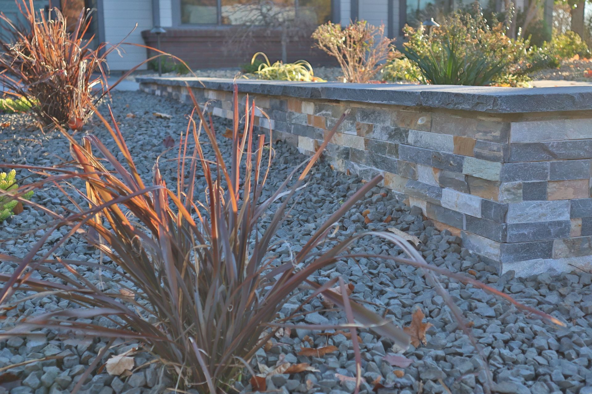 A rock garden with a stone retaining wall and spiky reddish-brown plants, under a sunny sky.
