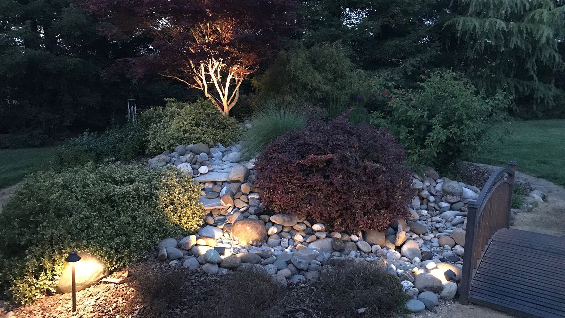 Nighttime garden with illuminated landscaping; rocks, bushes, small trees.