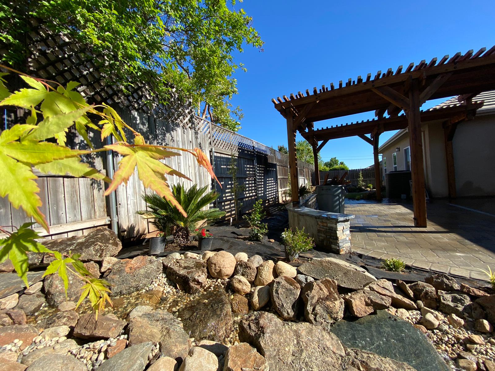 Backyard with a rock garden, pond, wooden pergola, and various plants under a bright blue sky.