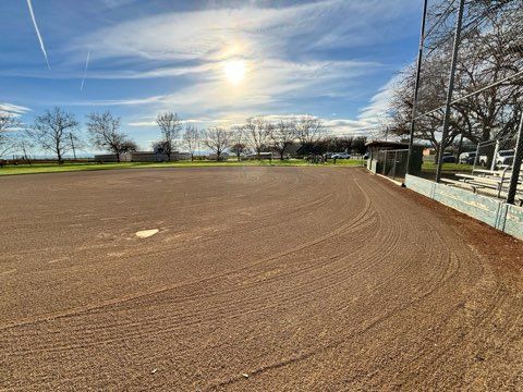 Empty baseball field on a sunny day with blue sky, trees in the background, and a chain-link fence.