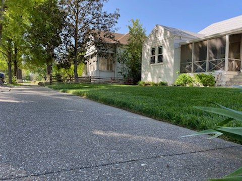 Sidewalk leading past houses with green lawns and trees on a sunny day.