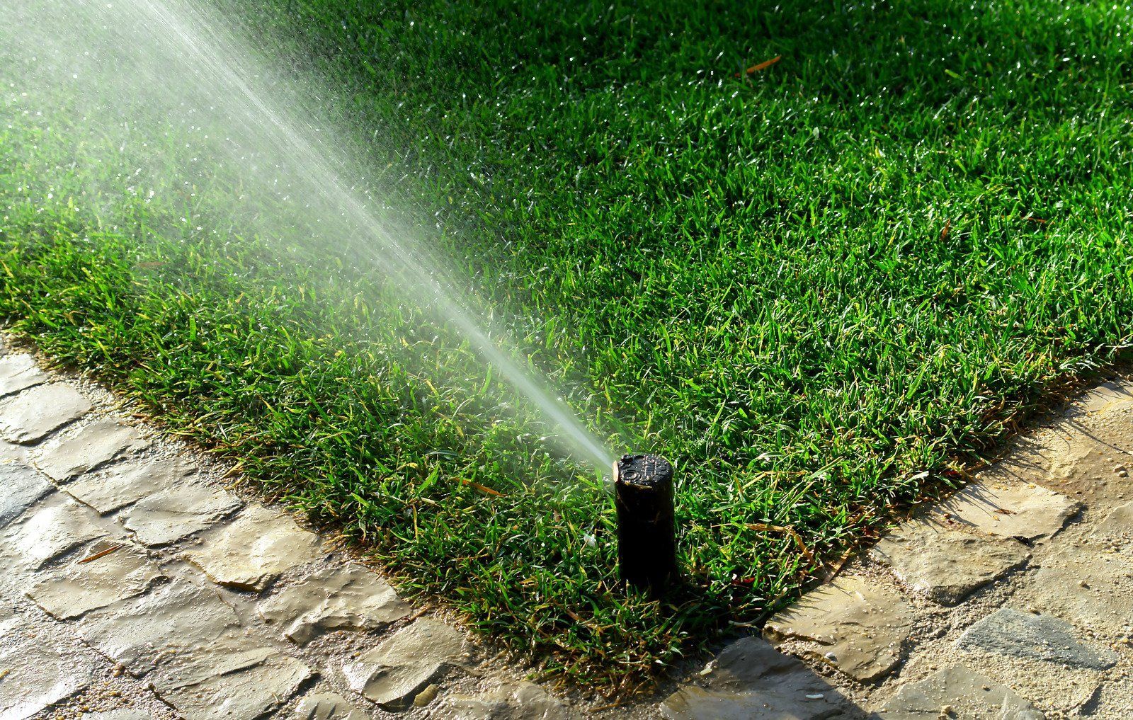 Sprinkler watering a patch of green grass beside a stone walkway.