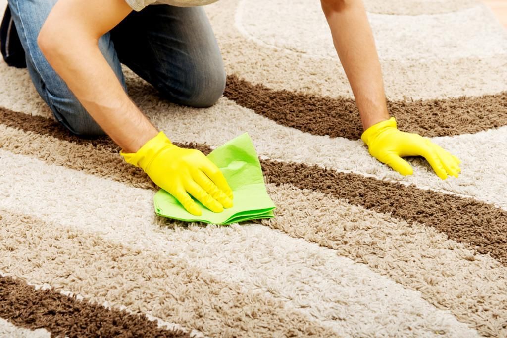 Cleaning a Rug with A Green Cloth
